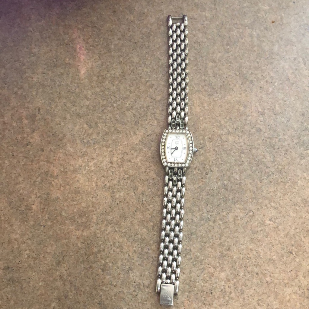 Esq Stainless Watch